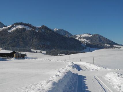 Winterwandern Aschnetalrunde Schwendt (2).JPG
