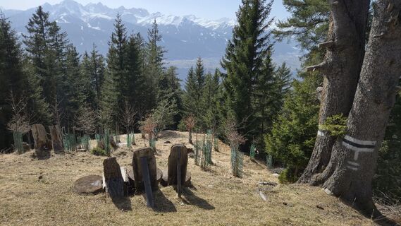Fotografija s spletne strani w.heiss na poti