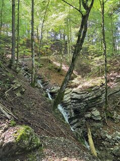 Foto från Sven under resans gång