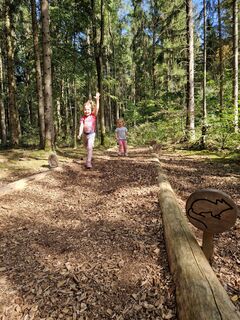Station "Tierweitsprung" auf dem Walderlebnisweg Hechingen