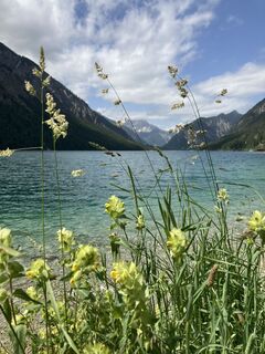 Photo de Robert.Unterlercher le long du parcours