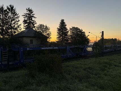 Foto de Schaali a lo largo del recorrido