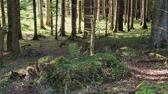 Foto von R Schaberl entlang der Tour