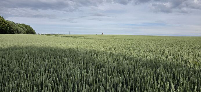 Fotografie z Rainer Kroschwald na trase