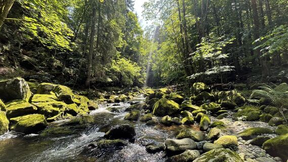 Fotografie z Ramon Schmidt na trase