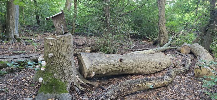 Fotografija s spletne strani Hieu Duc Tram na poti