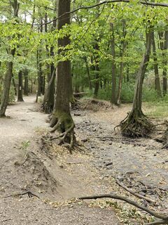 Fotografie z Edit Szabó 3 na trase