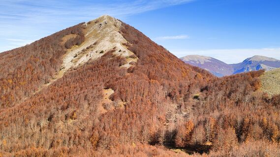 Fotografija s spletne strani Pasquale Buono na poti