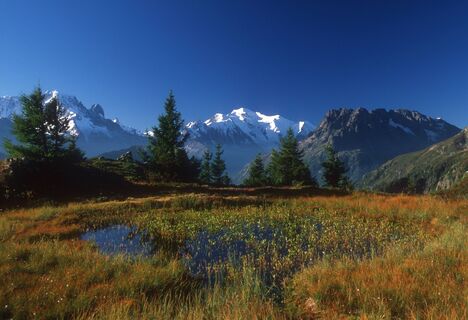 Balcon du Mont-Blanc-Weg