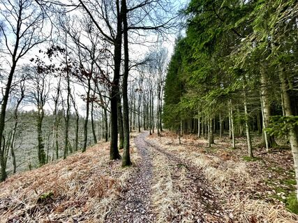Foto von Les aventures de Ghislain entlang der Tour