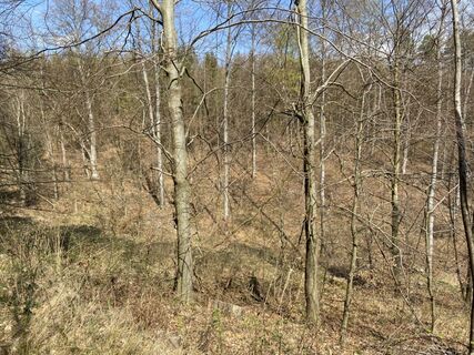 Fotografie z Attila Mihalcz na trase