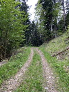 Foto da eva_mountaininlove lungo il tour