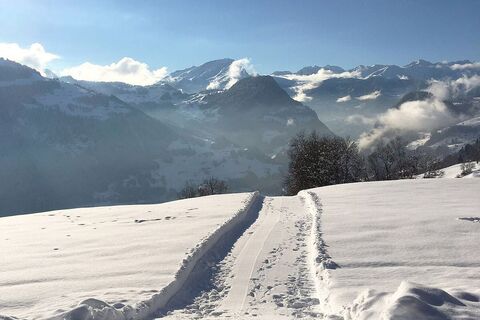 Winterwanderweg Fanas
