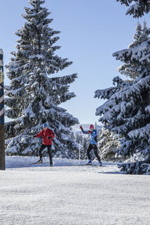 Langlauf Skating