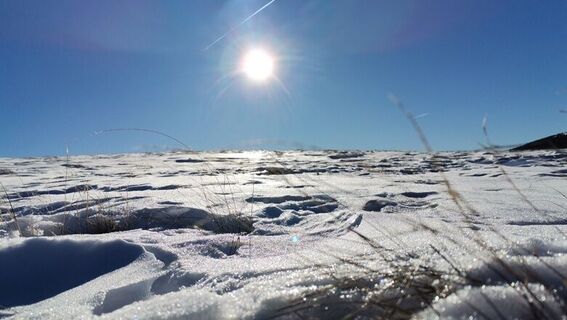 Winterwanderung auf den Arabichl