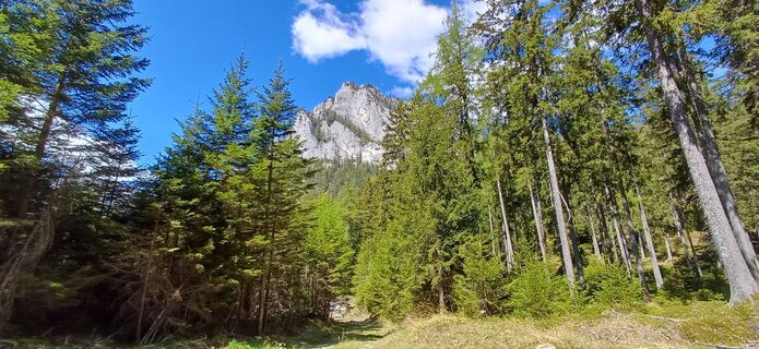 Photo de Bergfex Cros le long du parcours