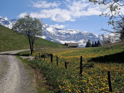Foto von J. Bouchet entlang der Tour