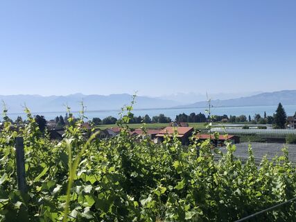 Foto von Enrico Schneider entlang der Tour