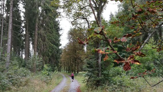 Von Saaldorf zum Marienstein