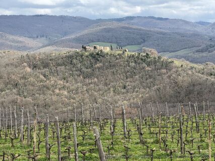 Fotografie z Nina in Chianti na trase