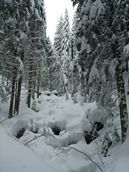 Verschneiter Leisnitzgraben