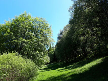 Perlbachtal 