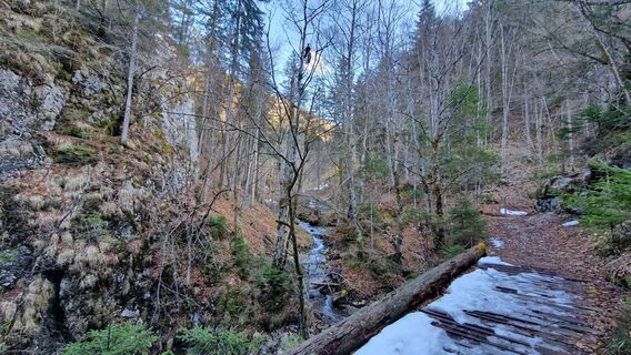 Fotografija s spletne strani fschwarzenberger na poti
