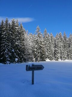 Foto de Dagmar Hofer a lo largo del recorrido
