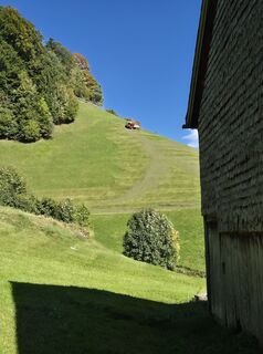 Fotografie z alinradu na trase