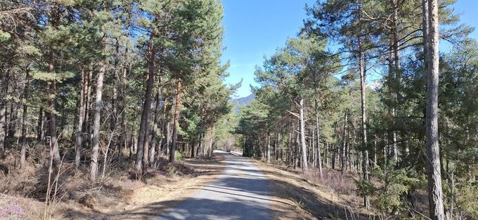 Foto de Christian Freythaler a lo largo del recorrido