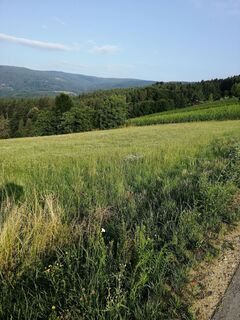 Greisdorf