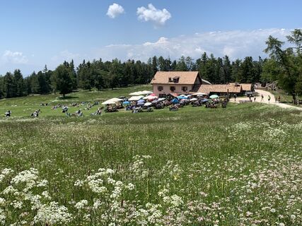 Fotografia z Tizz Canins na trase