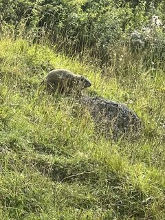 Foto från Karl Heinz Fick under resans gång