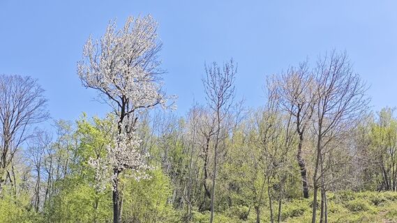 Foto von Franca Škarja entlang der Tour