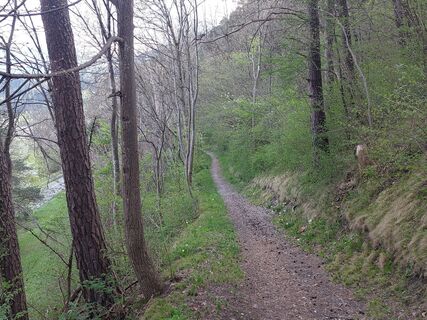 Foto von Walter Jenewein entlang der Tour