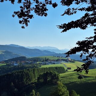 Foto van Eva Maria 7 langs de tour