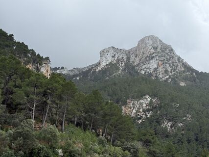Photo de Norbert Herbig le long du parcours
