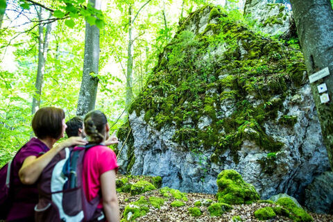 Emmafelsen an der Raichberg-Tour im Wanderparadies Hechingen