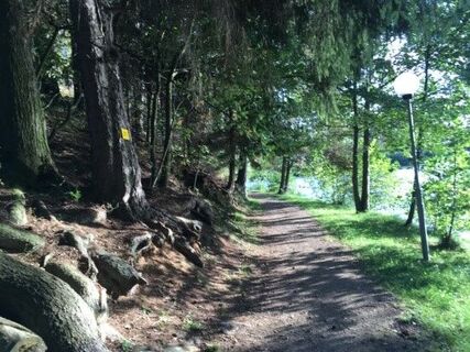 Wanderweg Nr. 31, Natur und Kultur