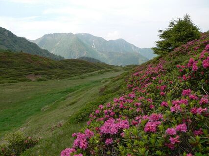 Wanderung zum Zollner See