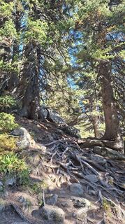 Fotografija s spletne strani Fuchs Irene na poti