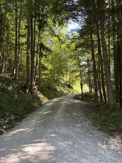 Foto von Heinz Sperl entlang der Tour