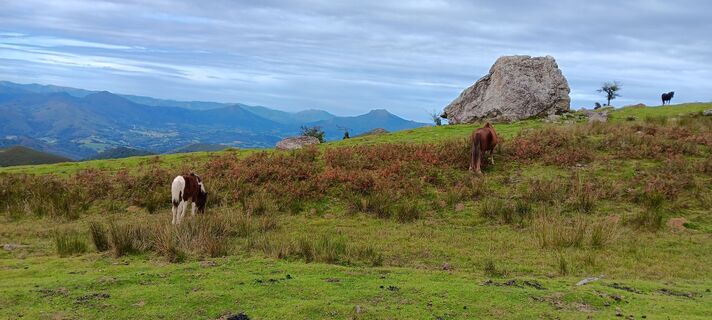Fotografia z Patrice Gouspy na trase