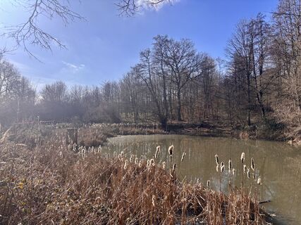 Foto von Ralf Pollex entlang der Tour