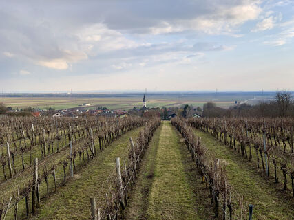Blick von der Aussichtsplattform auf Bockfließ