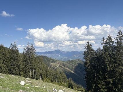 Foto fra Silvia Huber undervejs på turen