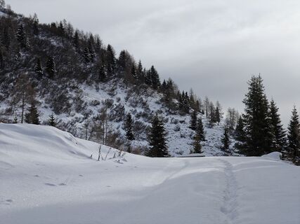 Fotografija s spletne strani Luca Sangiorgio na poti