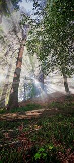 Fotografija s spletne strani ReginaSt na poti