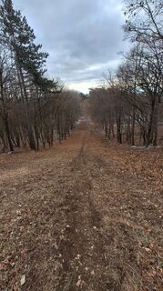 Fotografie z Regina Fleischmann na trase