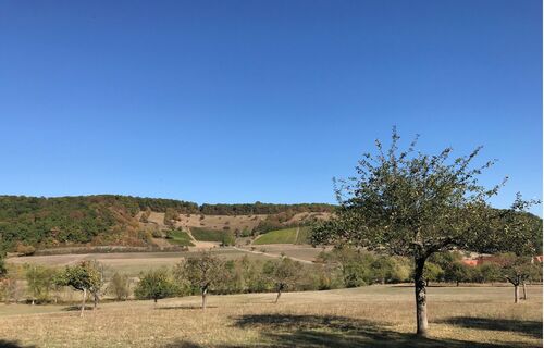 Wandern Richtung Füllmenbacher Hof